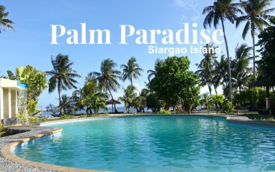 palm paradise siargao